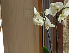 orchidee-gite-atlantique-domaine-des-trois-rivieres-merlevenez
